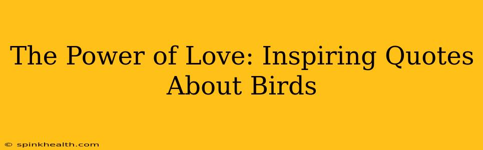 The Power of Love: Inspiring Quotes About Birds