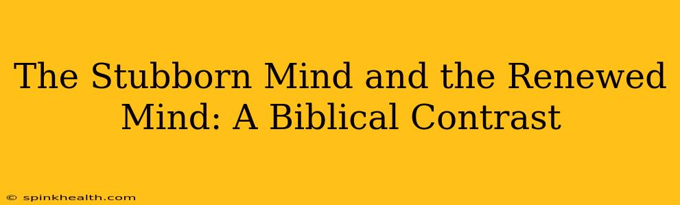 The Stubborn Mind and the Renewed Mind: A Biblical Contrast