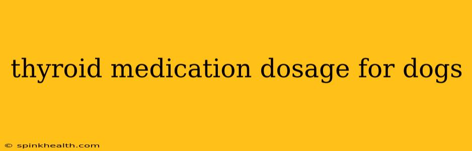 thyroid medication dosage for dogs