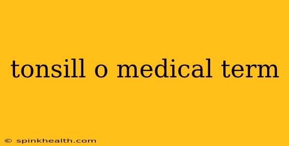 tonsill o medical term