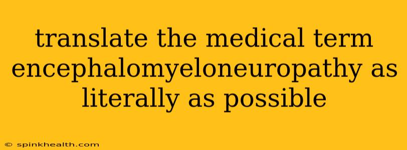 translate the medical term encephalomyeloneuropathy as literally as possible