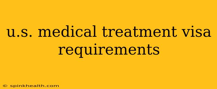 u.s. medical treatment visa requirements