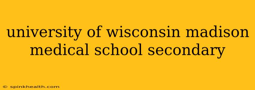 university of wisconsin madison medical school secondary