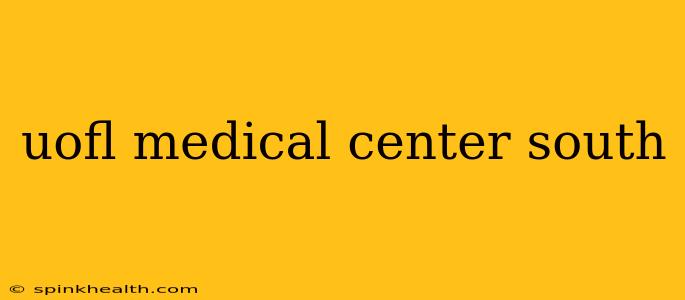 uofl medical center south