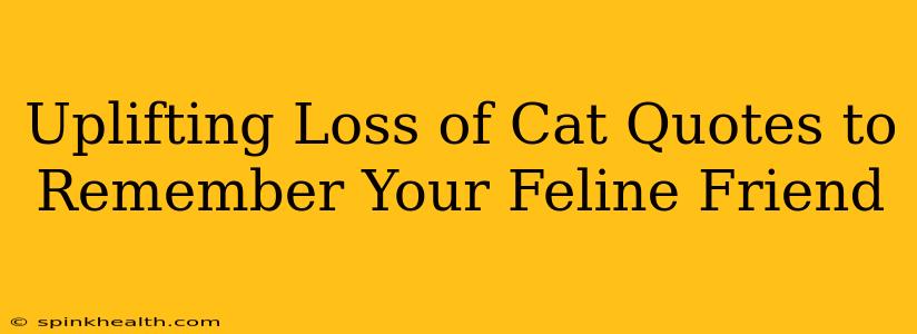 Uplifting Loss of Cat Quotes to Remember Your Feline Friend