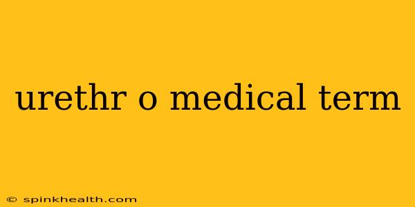 urethr o medical term