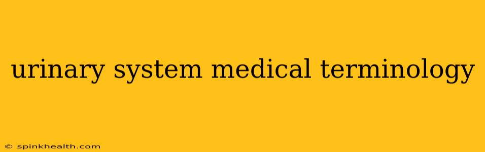 urinary system medical terminology