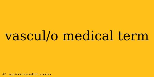 vascul/o medical term