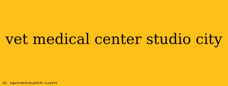 vet medical center studio city