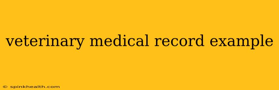 veterinary medical record example