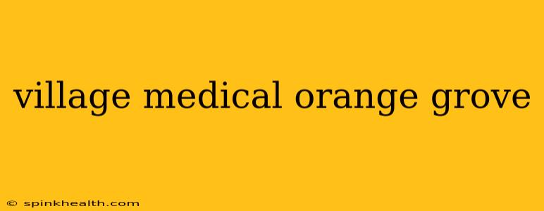 village medical orange grove