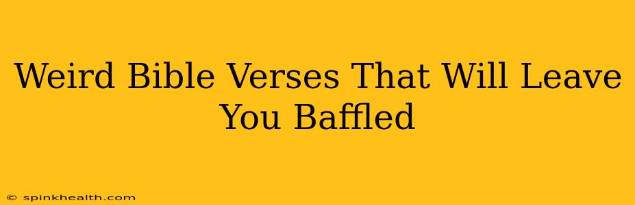 Weird Bible Verses That Will Leave You Baffled