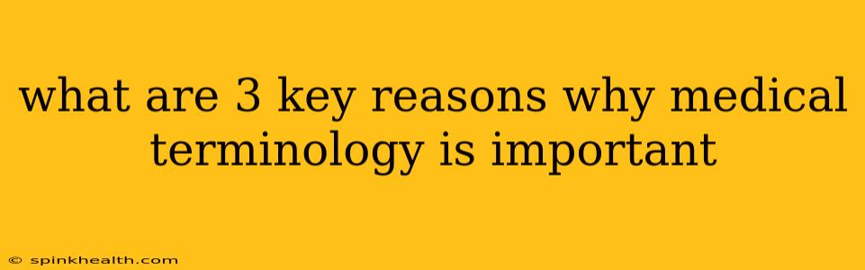 what are 3 key reasons why medical terminology is important