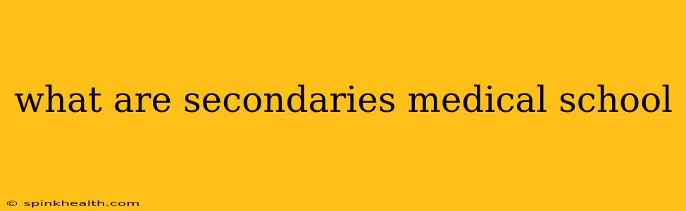 what are secondaries medical school
