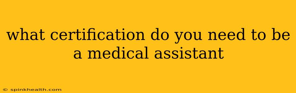 what certification do you need to be a medical assistant