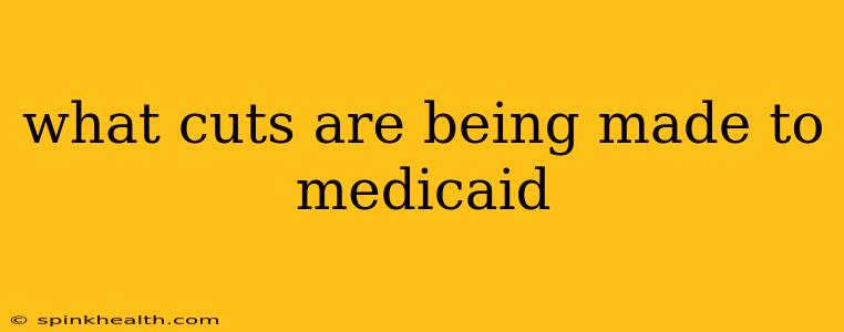 what cuts are being made to medicaid