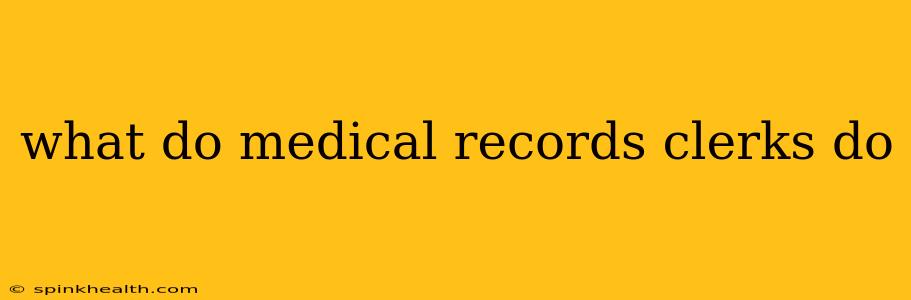 what do medical records clerks do