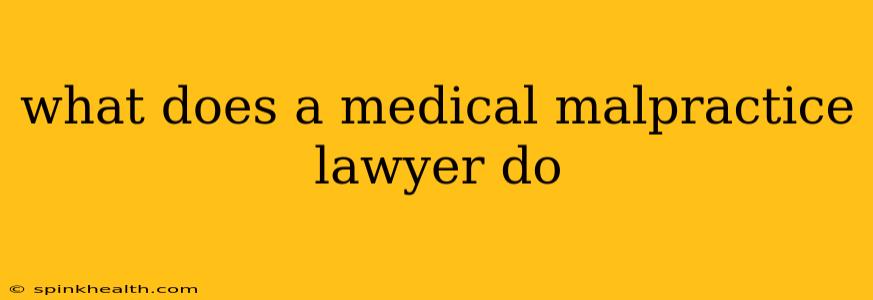 what does a medical malpractice lawyer do