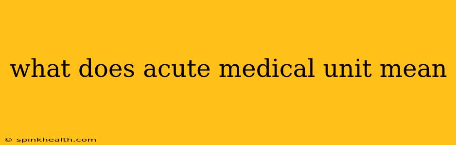 what does acute medical unit mean