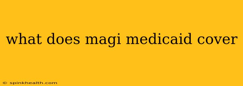 what does magi medicaid cover