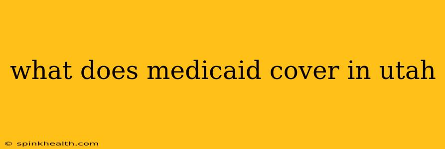 what does medicaid cover in utah