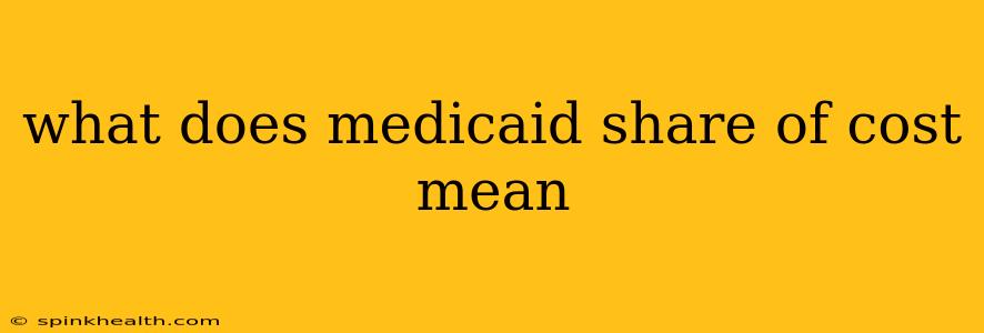 what does medicaid share of cost mean