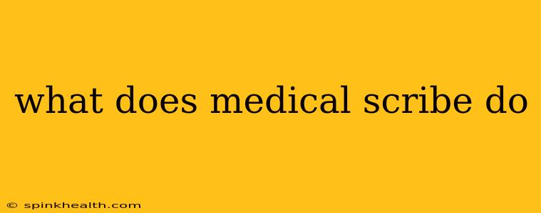 what does medical scribe do