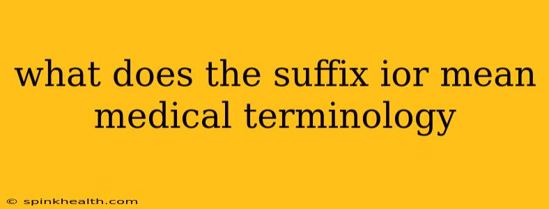 what does the suffix ior mean medical terminology