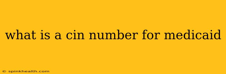 what is a cin number for medicaid