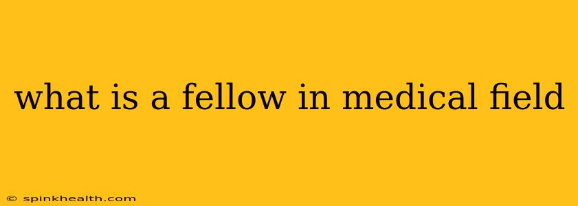 what is a fellow in medical field