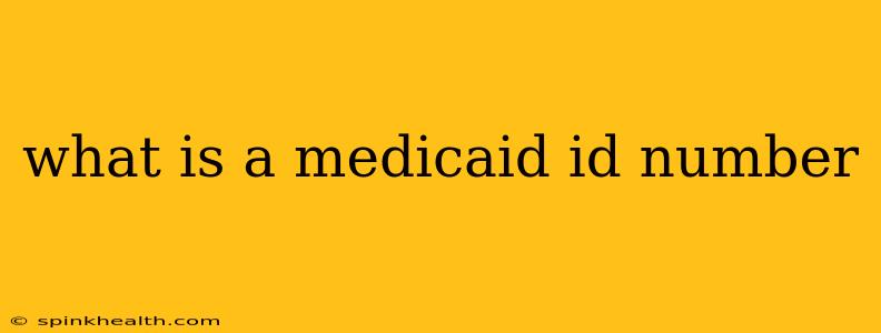 what is a medicaid id number