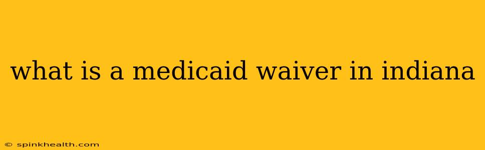 what is a medicaid waiver in indiana