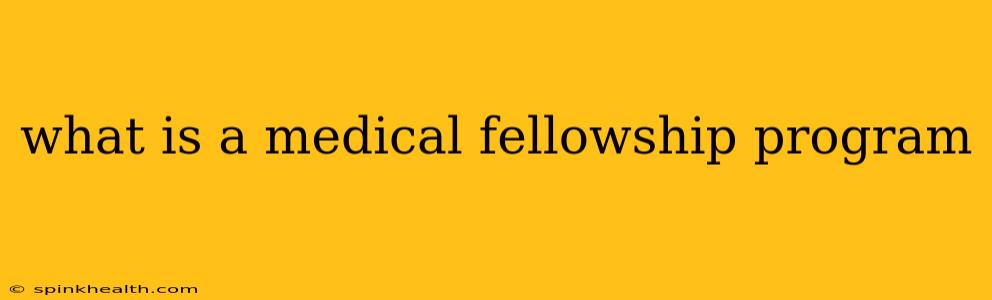 what is a medical fellowship program