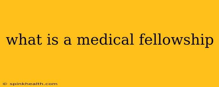 what is a medical fellowship
