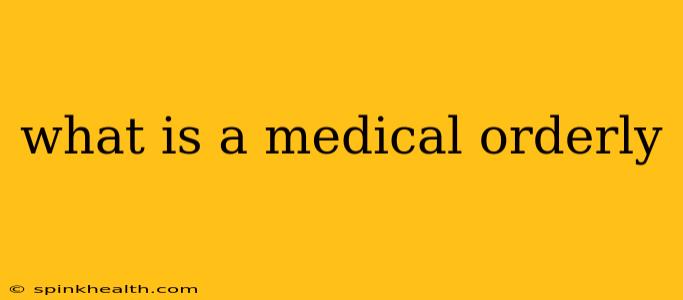 what is a medical orderly