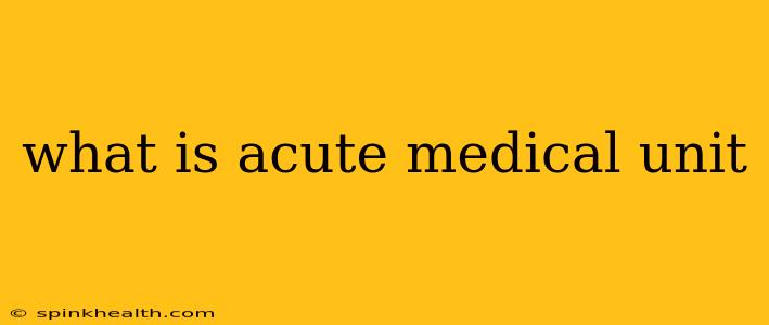 what is acute medical unit