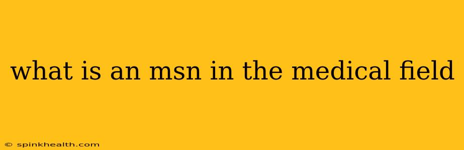 what is an msn in the medical field