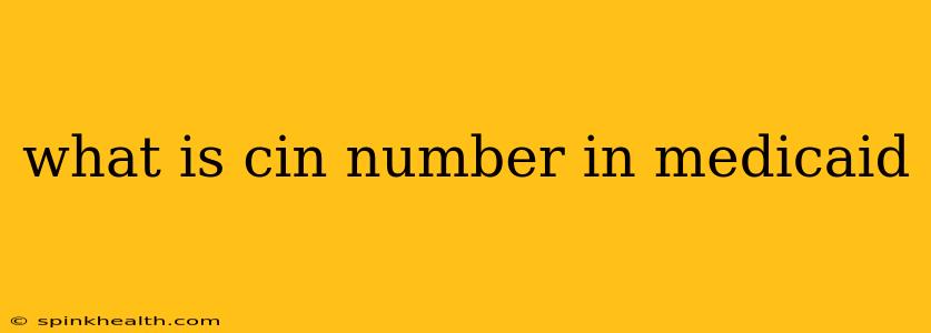 what is cin number in medicaid