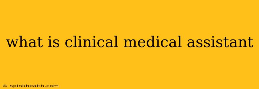 what is clinical medical assistant
