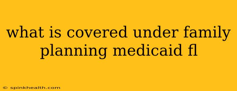what is covered under family planning medicaid fl