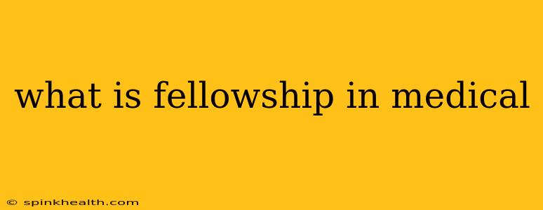 what is fellowship in medical