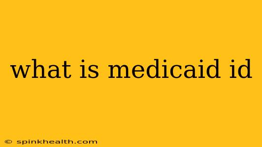 what is medicaid id