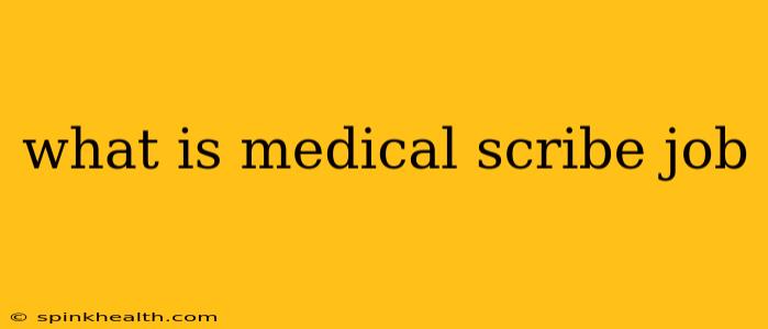 what is medical scribe job