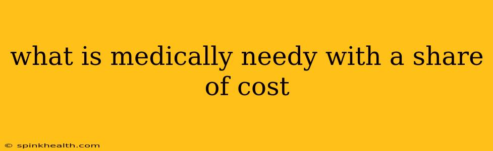 what is medically needy with a share of cost