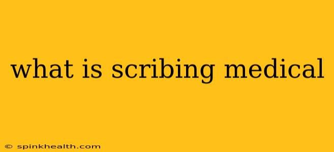 what is scribing medical