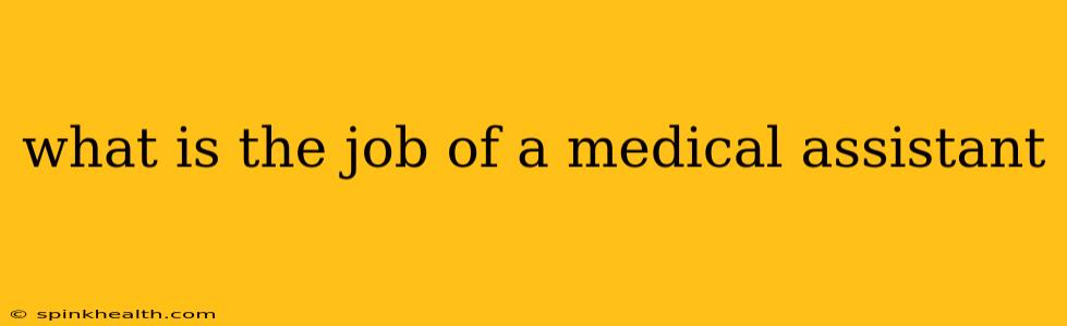 what is the job of a medical assistant