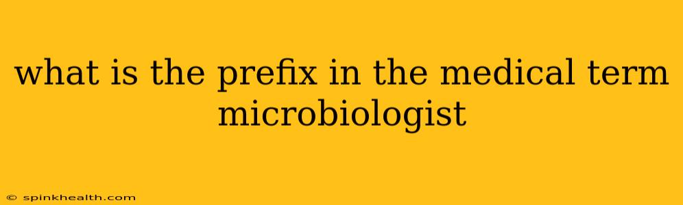 what is the prefix in the medical term microbiologist