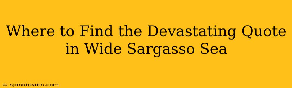 Where to Find the Devastating Quote in Wide Sargasso Sea
