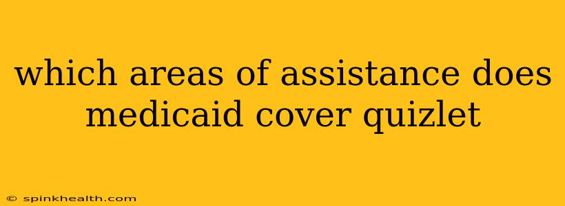 which areas of assistance does medicaid cover quizlet
