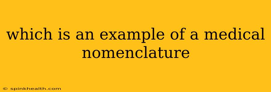 which is an example of a medical nomenclature